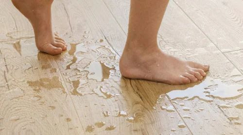 Is SPC Flooring Slippery?cid=4